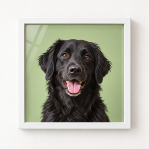 Quadro Pet Personalizado 20×20cm — Linha Premium | Cor Sólida
