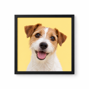 Quadro Pet Personalizado 20×20cm — Linha Clássica | Cor Sólida